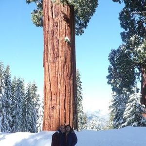 Meet your Posher, Raul